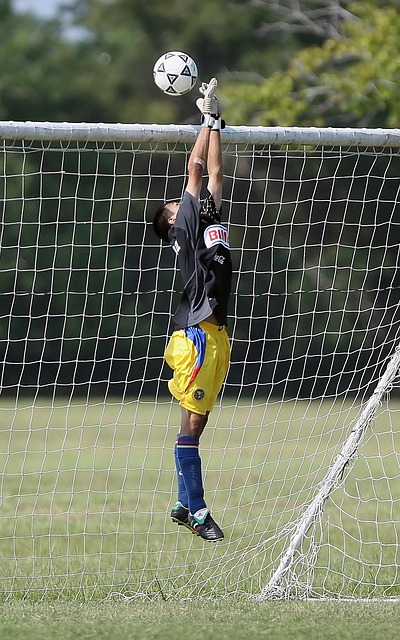 詹姆斯的英 詹姆斯的英