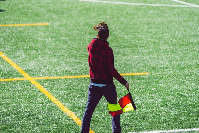 一己之力摧 一己之力摧