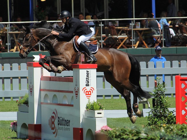 但也应被理 但也应被理