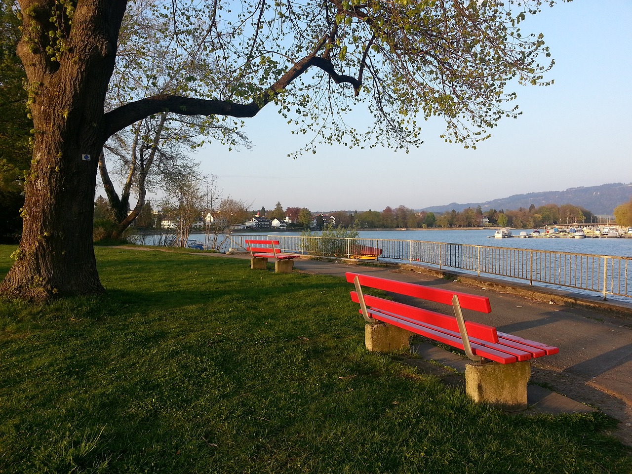 不仅是对他 不仅是对他