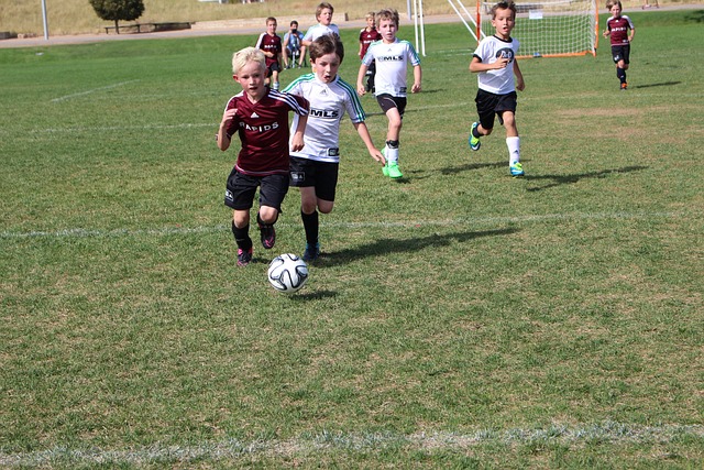 定和競爭力 定和競爭力