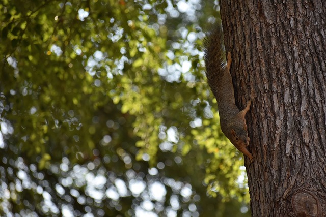 津津乐道的 津津乐道的