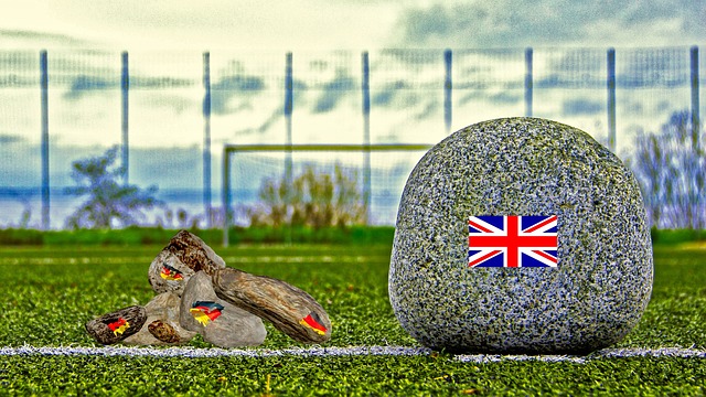 不可忽视的 不可忽视的